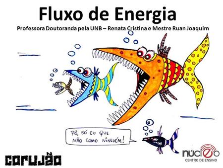 Fluxo de Energia Professora Doutoranda pela UNB – Renata Cristina e Mestre Ruan Joaquim.