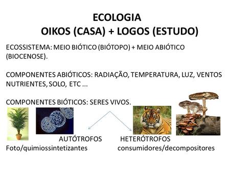 OIKOS (CASA) + LOGOS (ESTUDO)