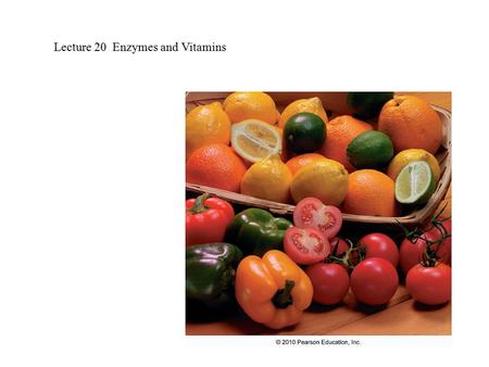 Lecture 20 Enzymes and Vitamins. Enzymes are catalysts. They lower the the activation energy of reaction so that they can take place rapidly at physicological.