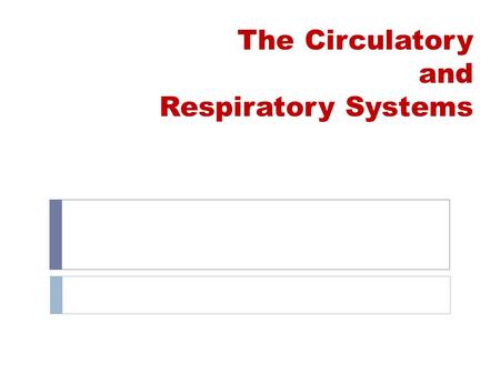 The Circulatory and Respiratory Systems