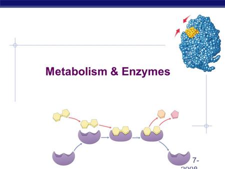 2007- 2008 Metabolism & Enzymes From food webs to the life of a cell energy.