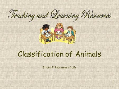 Classification of Animals