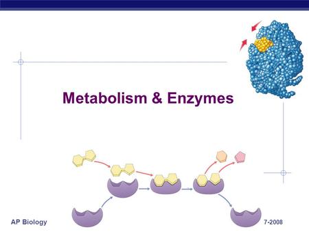 AP Biology 2007-2008 Metabolism & Enzymes AP Biology From food webs to the life of a cell energy.