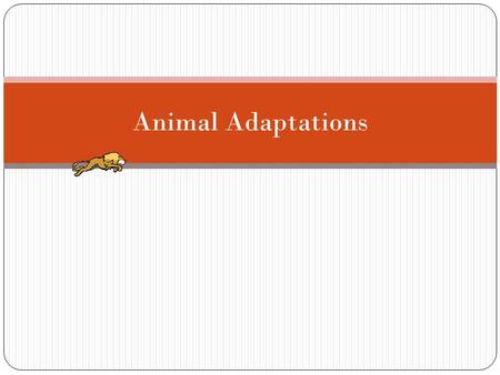 Animal Adaptations.