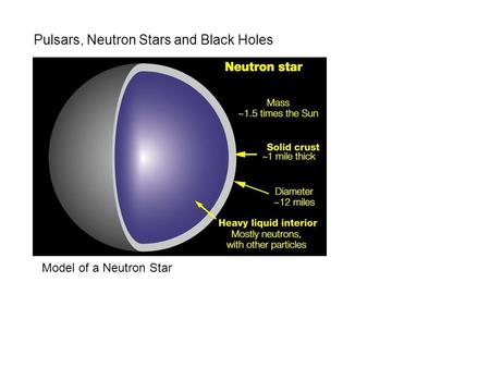 Pulsars, Neutron Stars and Black Holes Model of a Neutron Star.