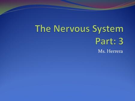 Ms. Herrera. Spinal Cord Extends from the foramen magnum of the skull to the first or second lumbar vertebra Comprised of 31 pairs of spinal nerves 8.