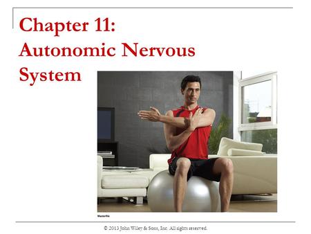 Chapter 11: Autonomic Nervous System © 2013 John Wiley & Sons, Inc. All rights reserved.