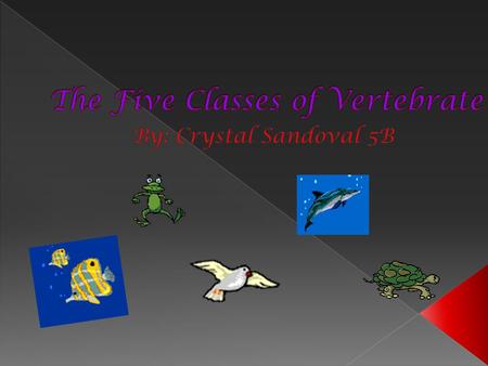 The Five Classes of Vertebrate