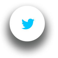 The Twitter Logo