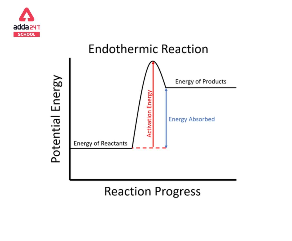 Endothermic Examples