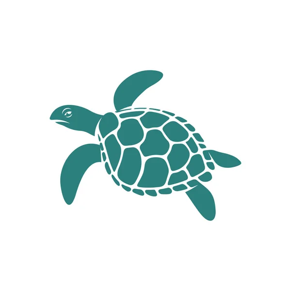 11,153 Sea turtle Vector Images | Depositphotos