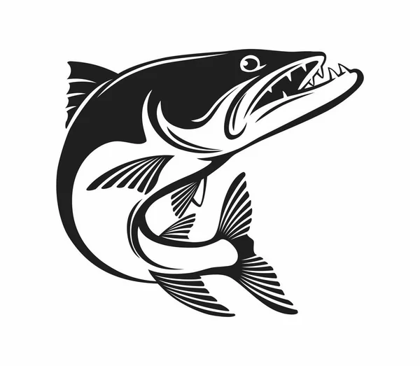 Barracuda Logo Vector