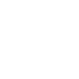 500px icon