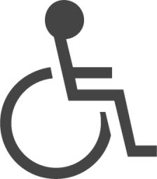 accessibility icon