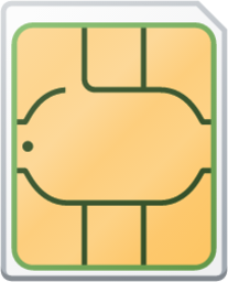 auth sim icon