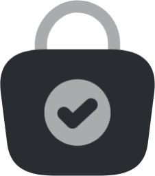 bag tick 2 icon