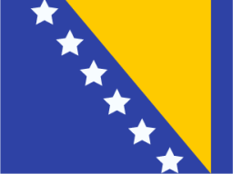 Bosnia and Herzegovina icon