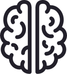 Brain icon