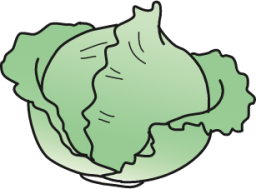 cabbage icon