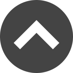 chevron circle up icon