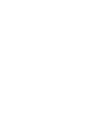 chewbacca icon