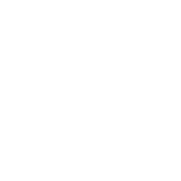 discord icon