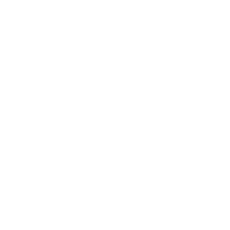 double chevron up icon