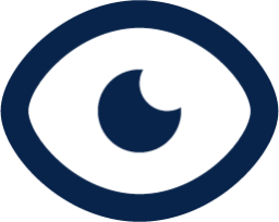 eye line system icon