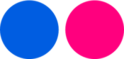 flickr icon