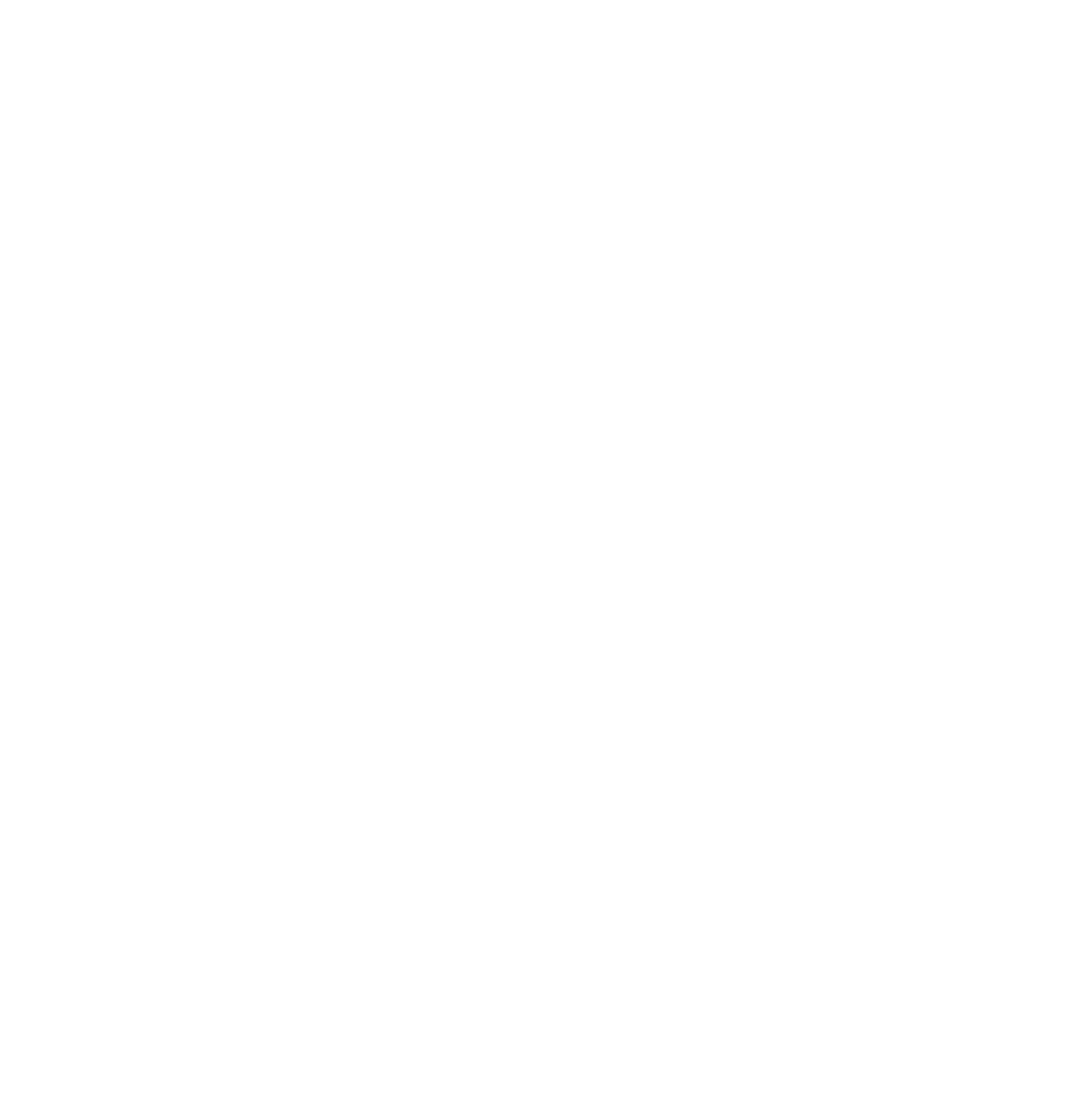 fulfillment order icon