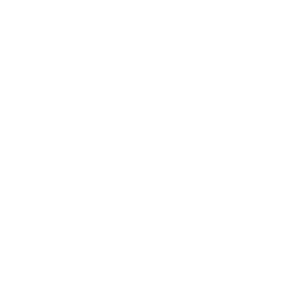 Gemini dollar Cryptocurrency icon