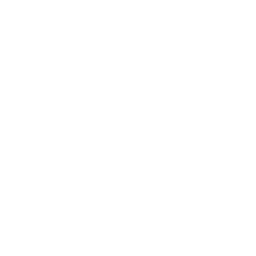 GINcoin Cryptocurrency icon