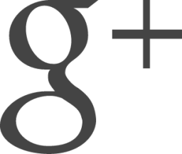 google plus icon