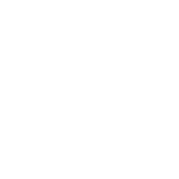 guitar musical instrument icon