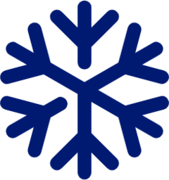 ice icon