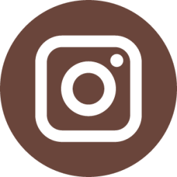 instagram icon