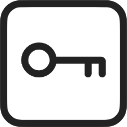 Key alt light icon