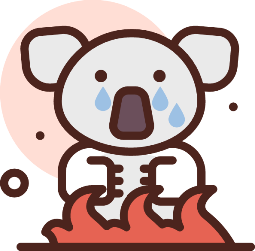 koala cry icon