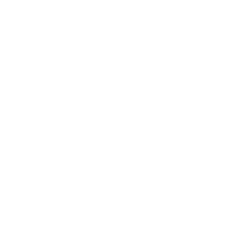 linkedin icon