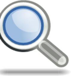 magnifying glass icon