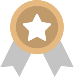 medal bronze prize icon