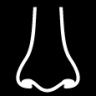 nose front icon