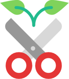 scissors icon