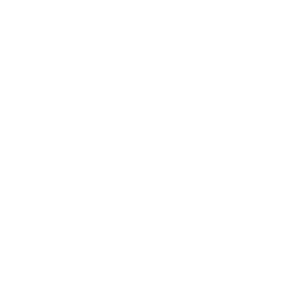 tik tok icon