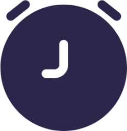 time circle 5 icon