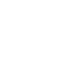 VeChain Cryptocurrency icon