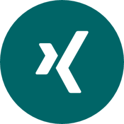 Xing icon