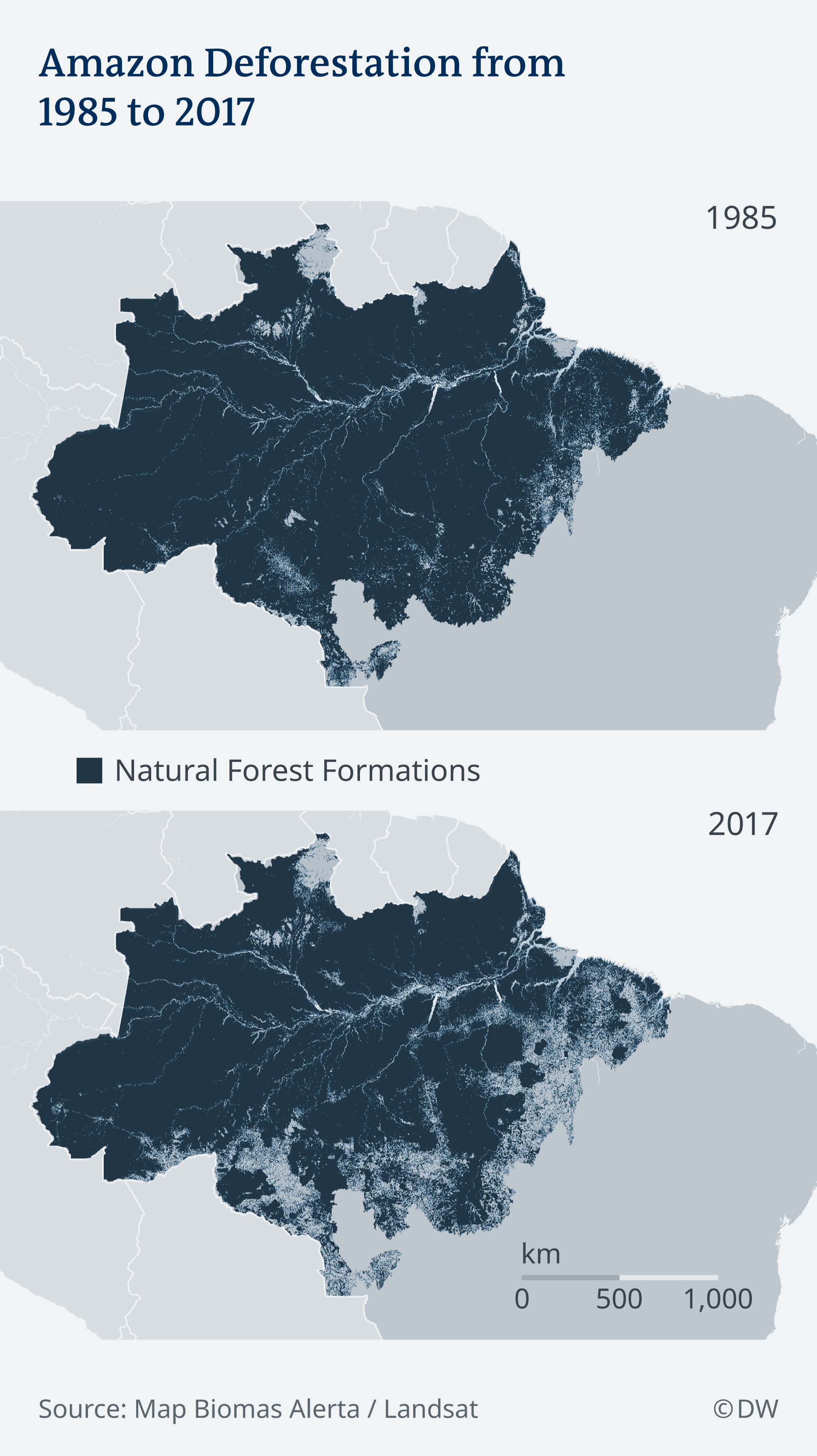 The Amazon Nutrient Rich Rainforests On Useless Soils Science In Depth Reporting On Science And Technology Dw 23 08 19