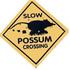 Wiregrass Master Naturalist - 2022 Roadkill Survey icon