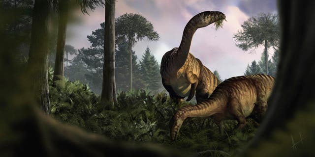 <p>This illustration provided by Marcin Ambrozik shows plant-eating dinosaurs in Poland during the Early Jurassic period</p>